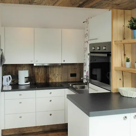 In Hohe Tauern Near Wildkogel Arena, Cleaning Included Apartmán Rosenthal